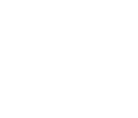 Suzuki intruder